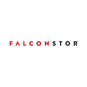 Logo FalconStor
