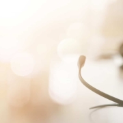 Headset an einem Büroarbeitsplatz vermittelt ein charakteristisches Bild eines digitalen Arbeitsplatzes